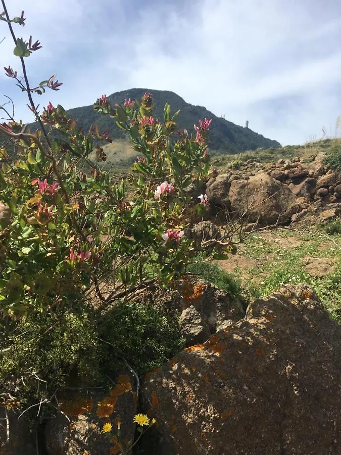 Dammusi Il Serralh -Pantelleria- Scauri  Italy
