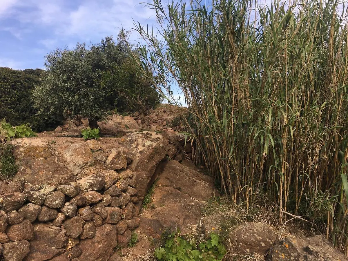 Holiday home Dammusi Il Serralh -Pantelleria- Scauri