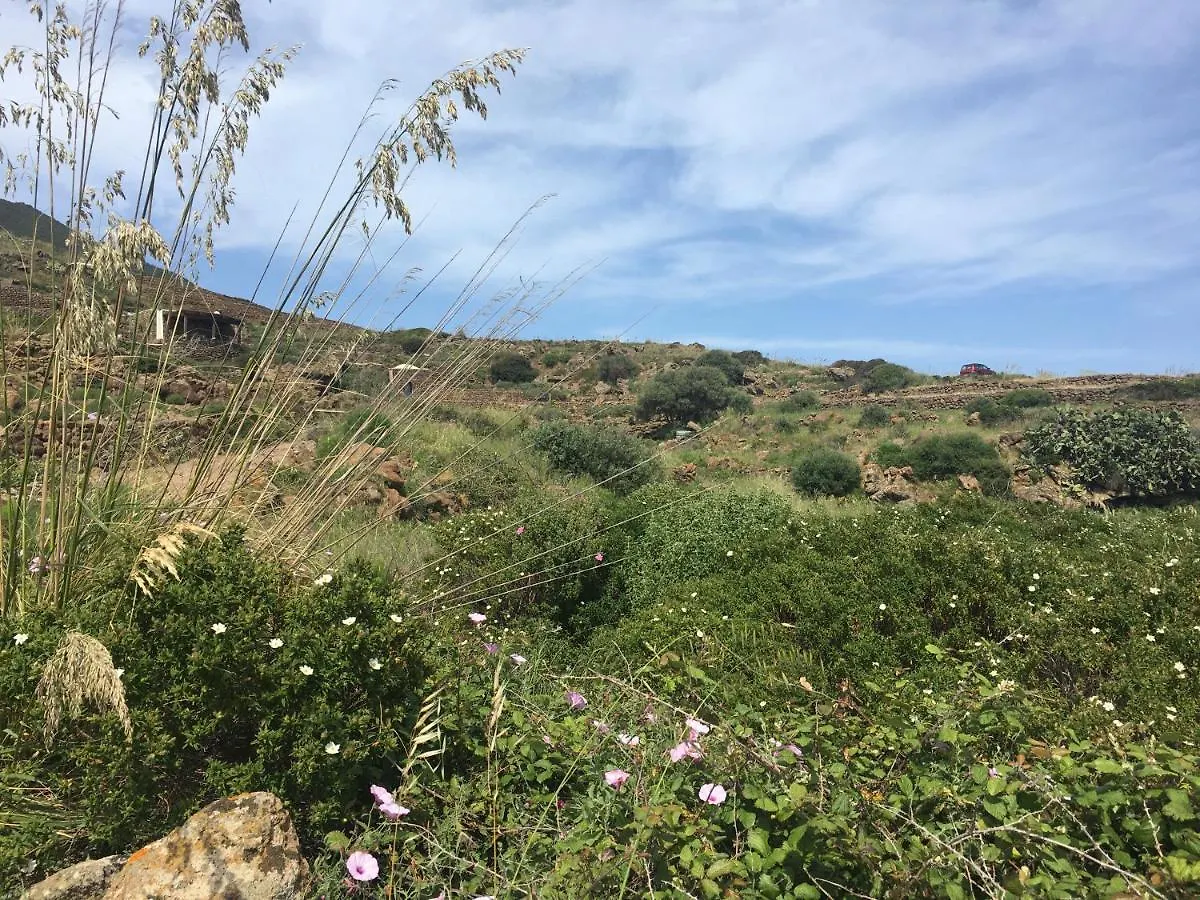Dammusi Il Serralh -Pantelleria- Scauri  Holiday home