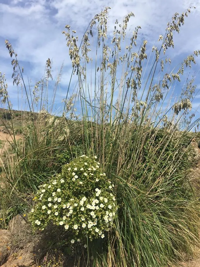 Dammusi Il Serralh -Pantelleria- Scauri  Italy