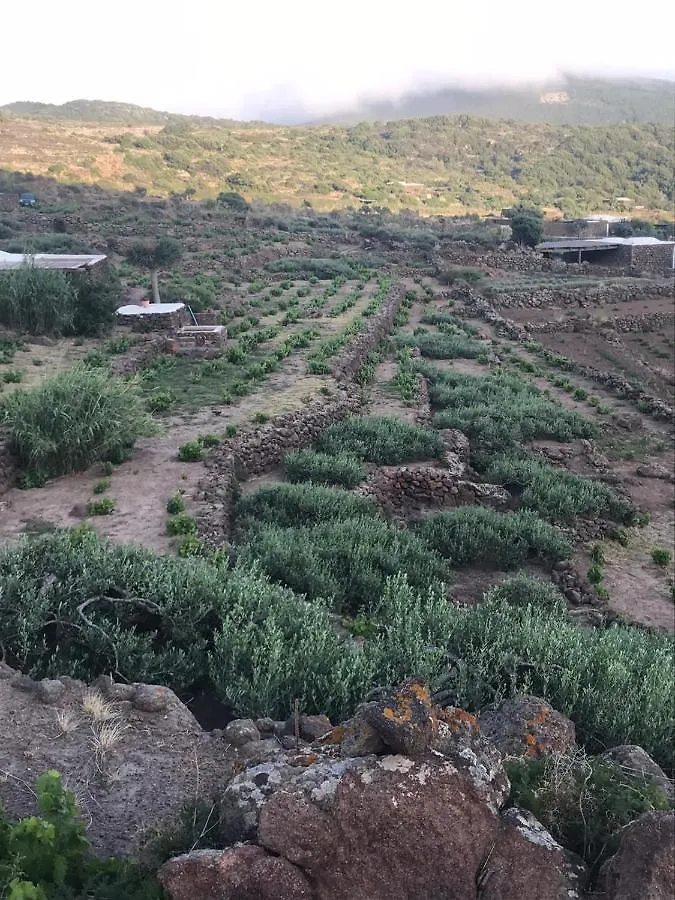 Dammusi Il Serralh -Pantelleria- Scauri  Holiday home Scauri (Sicily)