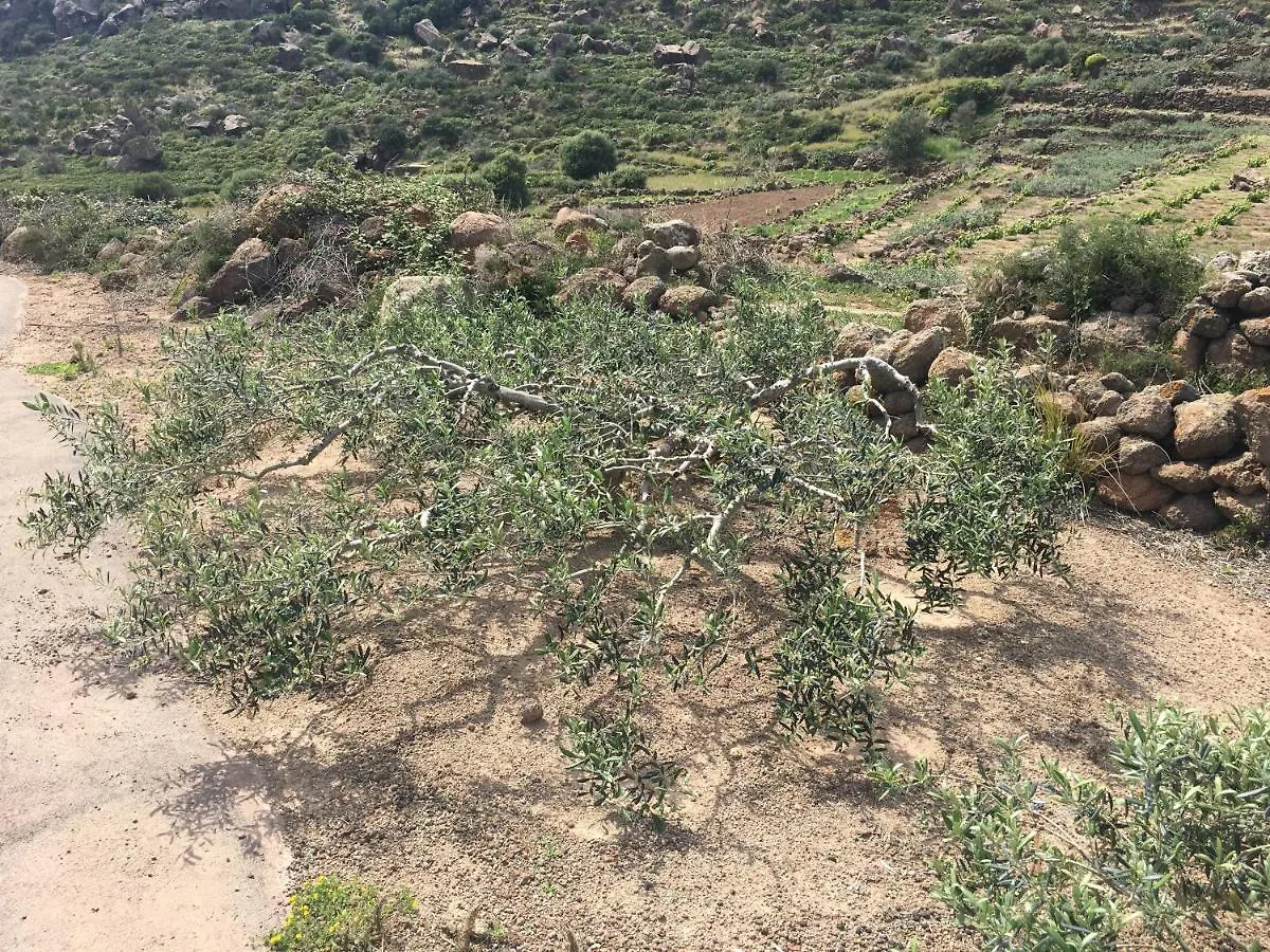 Holiday home Dammusi Il Serralh -Pantelleria- Scauri  Italy