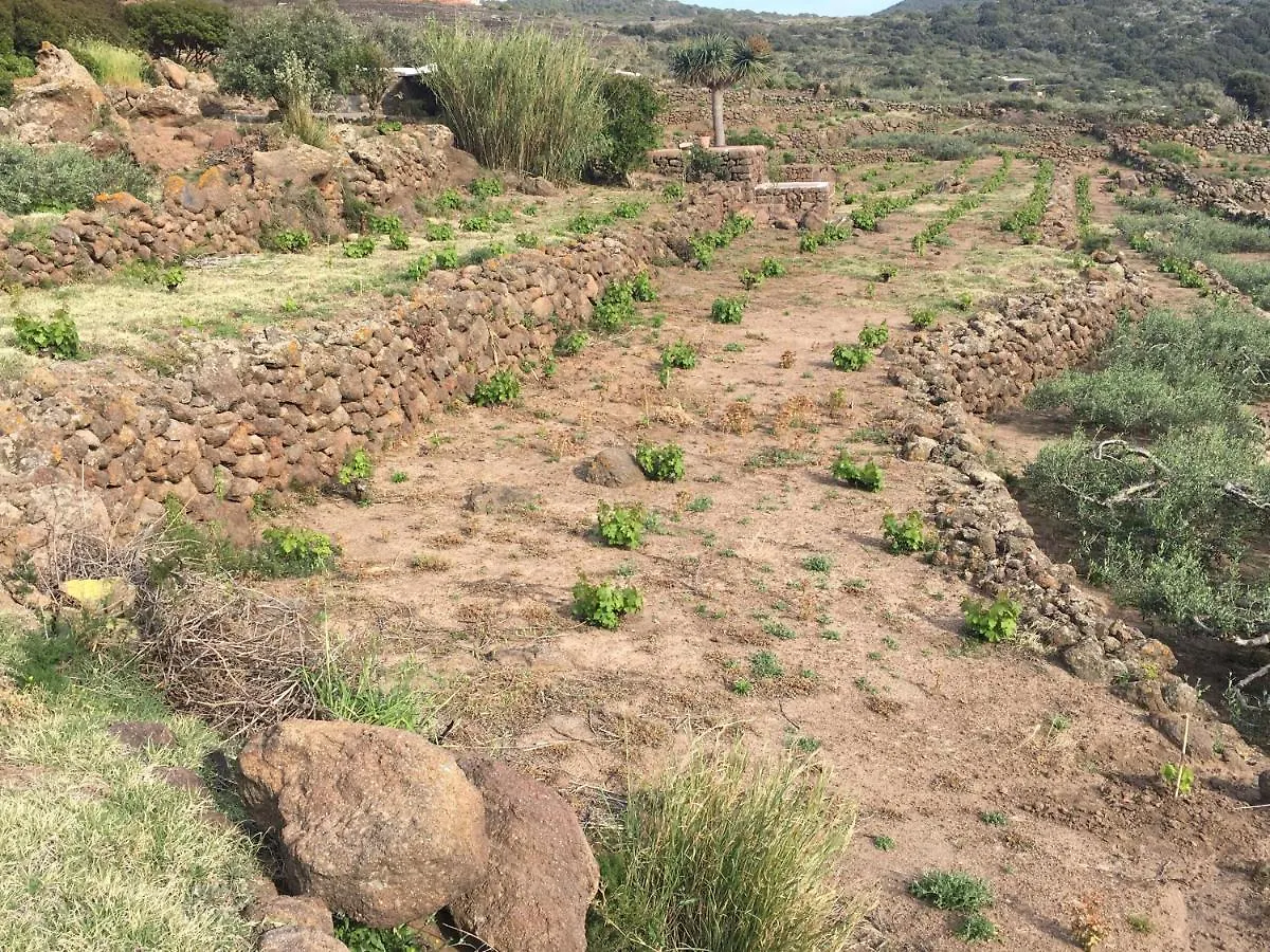 Dammusi Il Serralh -Pantelleria- Scauri  0*, Scauri (Sicily)