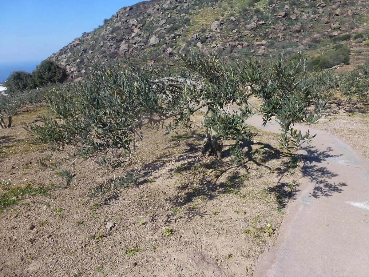 Dammusi Il Serralh -Pantelleria- Scauri  Holiday home Scauri (Sicily)